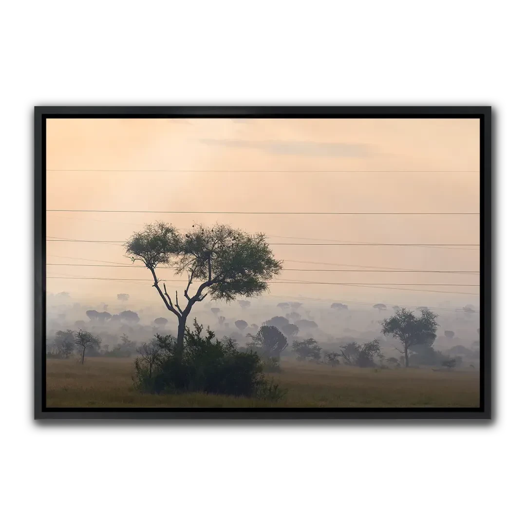 Rwenzori Series #10